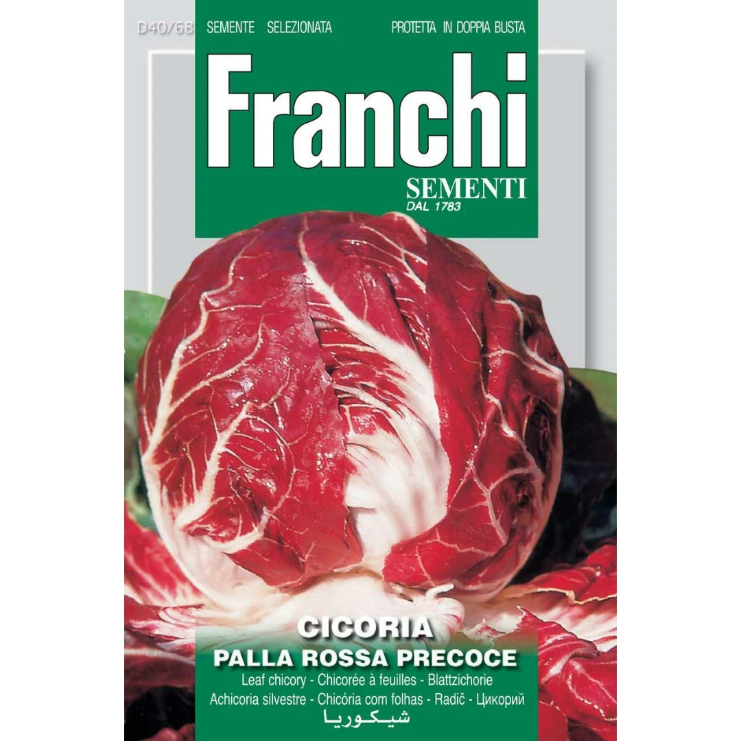 Garden Franchi Sementi Cicoria Palla Rossa Seeds 3 Garden Franchi Sementi Cicoria Palla Rossa Seeds