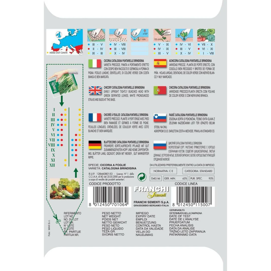 Franchi Sementi Chicory Puntarella Brindisina Seeds 4 Franchi Sementi Chicory Puntarella Brindisina Seeds