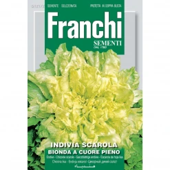 Franchi Sementi Endive Escarole Bionda Cuore Piano Seeds